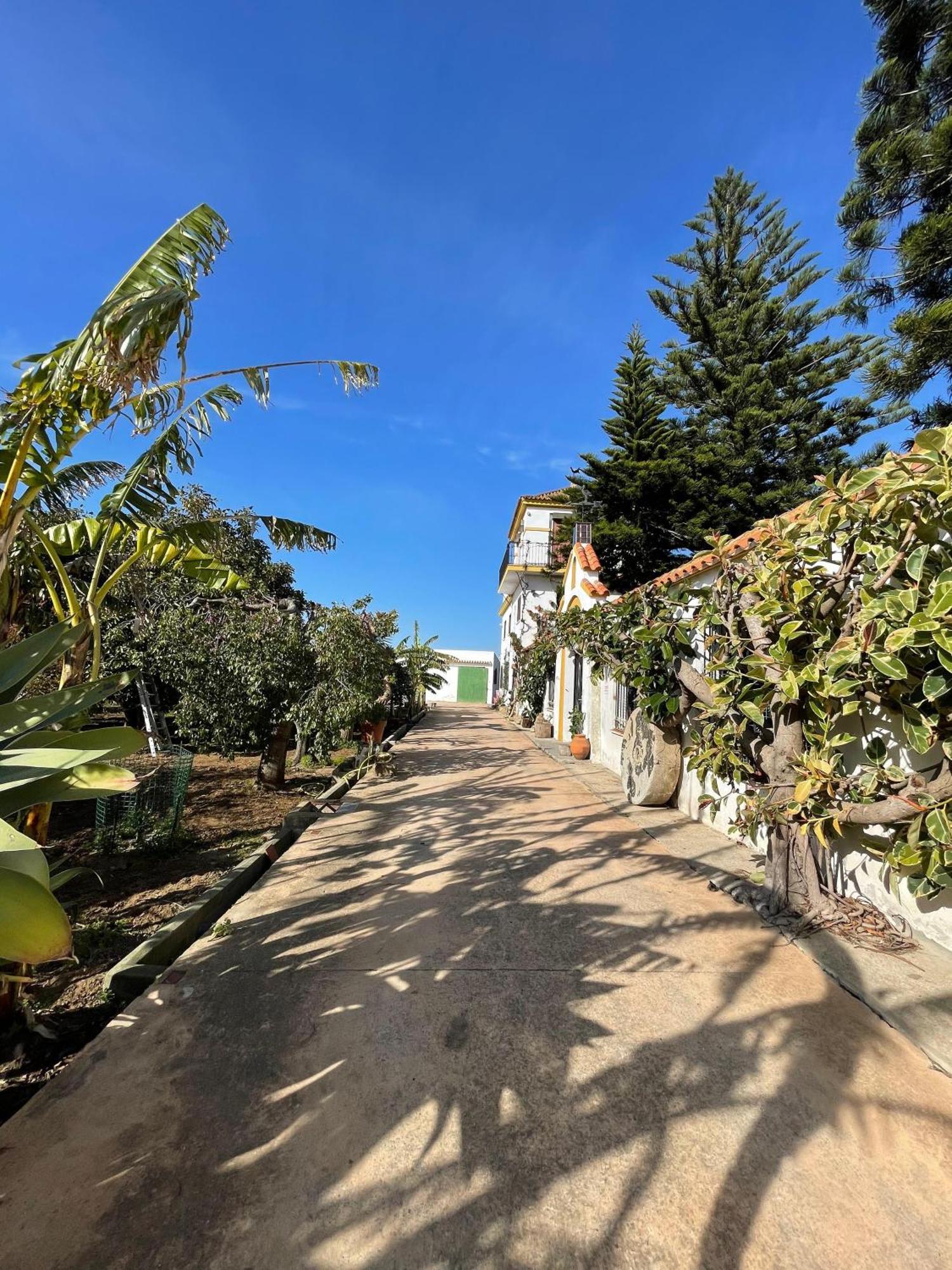 Finca La Tacita - Petunia Conil De La Frontera Esterno foto